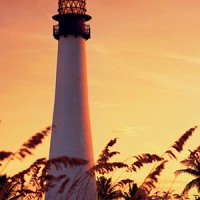 More ATO guidance for related party limited recourse borrowing arrangements