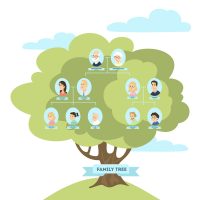Family genealogic tree. Parents and grandparents, children and cousins.