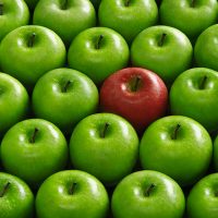 Not all companies are created equal apple